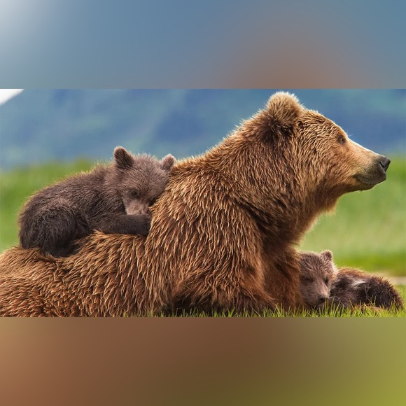 Meet your Posher, Kaeleigh - Picture 1 of 1